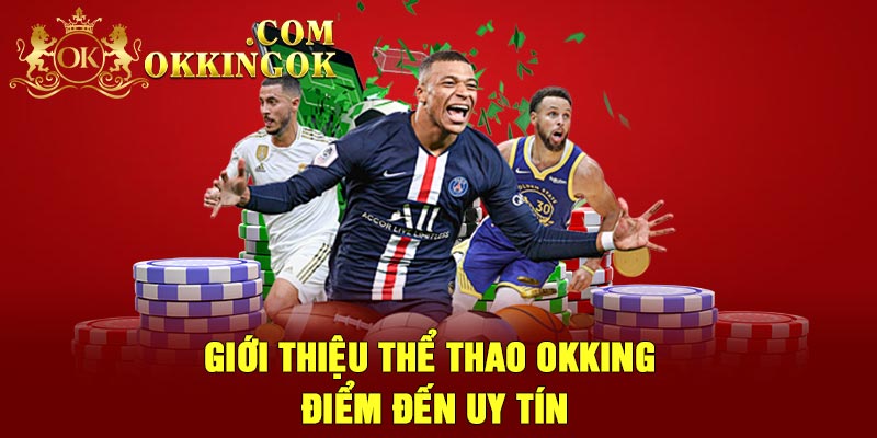 Giới thiệu thể thao Okking – Điểm đến uy tín