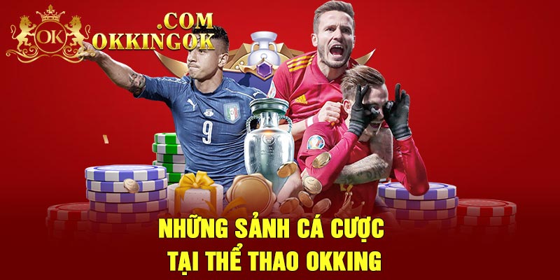 Những sảnh cá cược tại thể thao Okking