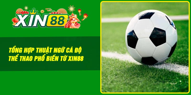 Tổng Hợp Thuật Ngữ Cá Độ Thể Thao Phổ Biến Từ Xin88