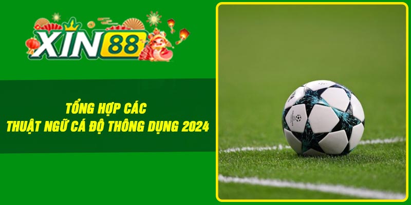 Tổng hợp các thuật ngữ cá độ thông dụng 2024